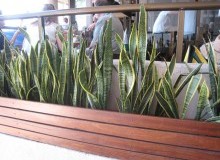 Kwikfynd Indoor Planting
moorawa