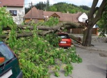 Kwikfynd Tree Cutting Services
moorawa