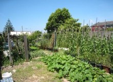 Kwikfynd Vegetable Gardens
moorawa